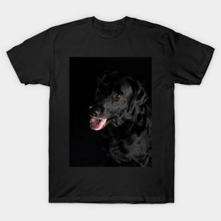 Labrador Retriever T-Shirt